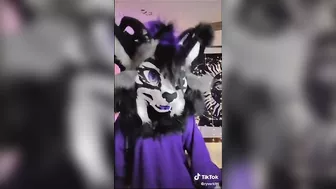 BEST Furry Tik Toks compilation 128 #shorts #furrytiktok #furry #furrycompilation