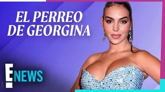 EL PERREO DE GEORGINA ENLOQUECE A TODOS