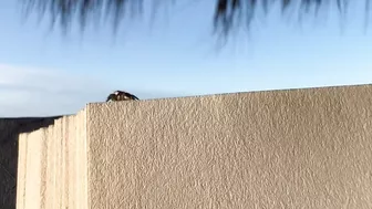 Wholesome Tiny Spider Encounter at the Beach