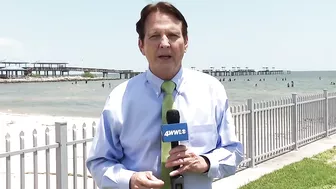 Gators hit the beaches in the Gulf Coast during breeding season