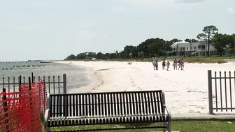 Gators hit the beaches in the Gulf Coast during breeding season