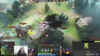 "most useless heroes I've seen in my life" -Arteezy MALDING in his first game on stream