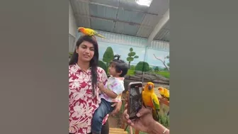 Loved this place in yercaud | exotic birds |Peeku bird park | tourism | travel destinations #sridevi