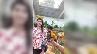 Loved this place in yercaud | exotic birds |Peeku bird park | tourism | travel destinations #sridevi