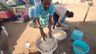 Chennai Anna Selling Tawa Masala Fry Prawns In Marina Beach Rs. 150/- Only l Tamil Nadu Street Food