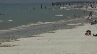 Visitors spot brown, discolored water at some Florida beaches