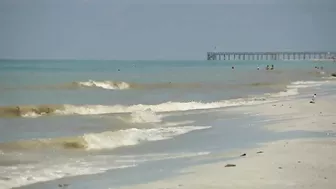 Visitors spot brown, discolored water at some Florida beaches