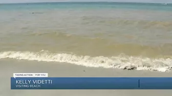 Visitors spot brown, discolored water at some Florida beaches