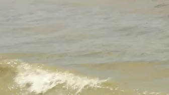 Visitors spot brown, discolored water at some Florida beaches