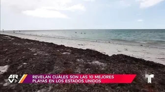 10 mejores playas de Estados Unidos según Dr. Beach