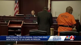 Daytona Beach man sentenced for animal cruelty