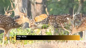 বিদেশি পর্যটক টানবে ঢাকা ট্রাভেল মার্ট | Travel Mart | Ekhon TV