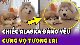 Khoảnh khắc ĐÁNG YÊU của bé Alaska khi thấy VỢ TƯƠNG LAI của mình ???? | Yêu Lu Official