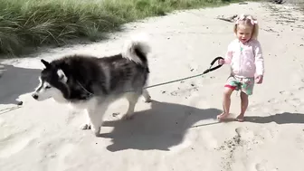 Adorable Little Girl Walks Her Dog On The Beach! (So Cute!!)