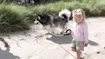 Adorable Little Girl Walks Her Dog On The Beach! (So Cute!!)