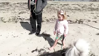 Adorable Little Girl Walks Her Dog On The Beach! (So Cute!!)