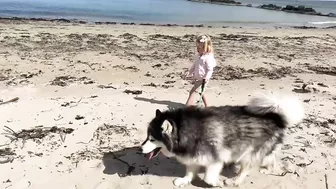 Adorable Little Girl Walks Her Dog On The Beach! (So Cute!!)