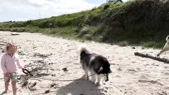 Adorable Little Girl Walks Her Dog On The Beach! (So Cute!!)