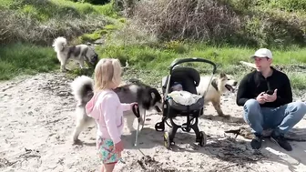 Adorable Little Girl Walks Her Dog On The Beach! (So Cute!!)