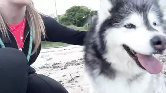 Adorable Little Girl Walks Her Dog On The Beach! (So Cute!!)