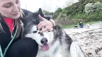 Adorable Little Girl Walks Her Dog On The Beach! (So Cute!!)