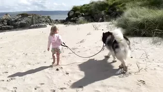 Adorable Little Girl Walks Her Dog On The Beach! (So Cute!!)