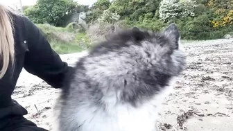 Adorable Little Girl Walks Her Dog On The Beach! (So Cute!!)