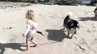 Adorable Little Girl Walks Her Dog On The Beach! (So Cute!!)