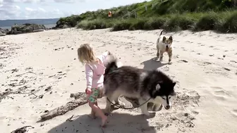 Adorable Little Girl Walks Her Dog On The Beach! (So Cute!!)