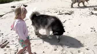 Adorable Little Girl Walks Her Dog On The Beach! (So Cute!!)