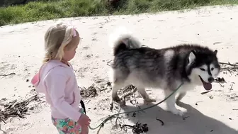 Adorable Little Girl Walks Her Dog On The Beach! (So Cute!!)