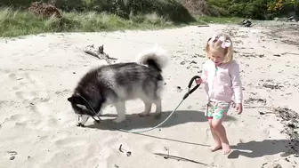 Adorable Little Girl Walks Her Dog On The Beach! (So Cute!!)