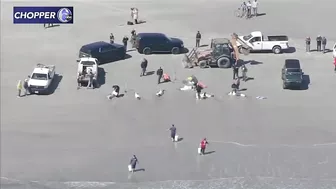 More dead dolphins found along the beach in South Jersey