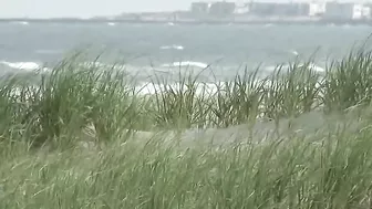 More dead dolphins found along the beach in South Jersey