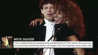 The One Celebrity Tina Turner Had A Big Crush On