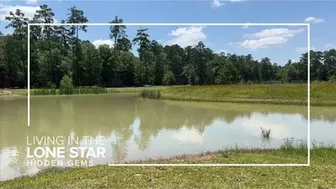 'Never see the same thing' | Lake Houston Wilderness Park stretches almost 5,000 acres