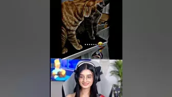 Payal Gaming Reaction On Bagad Billa | Cute Girl Reaction Video | Funny Video | Omagal | Funny Video