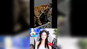 Payal Gaming Reaction On Bagad Billa | Cute Girl Reaction Video | Funny Video | Omagal | Funny Video