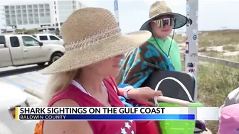 WATCH: Sharks come close to shore in Orange Beach