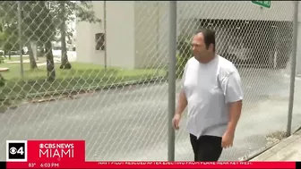 North Miami Beach Mayor Anthony DeFillipo arrested over 'voting irregularities'