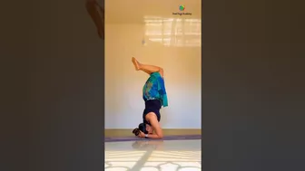 Headstand- Sitting yoga poses #yogaurmi #yoga #yogawithurmipandya #yogaasanas #urmiyogaacademy