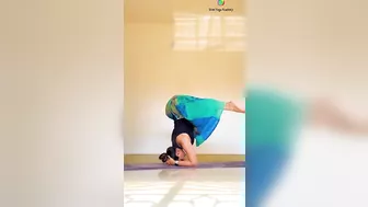 Headstand- Sitting yoga poses #yogaurmi #yoga #yogawithurmipandya #yogaasanas #urmiyogaacademy