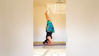 Headstand- Sitting yoga poses #yogaurmi #yoga #yogawithurmipandya #yogaasanas #urmiyogaacademy