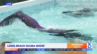 Scuba show returns to Long Beach