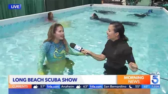 Scuba show returns to Long Beach