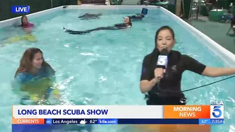 Scuba show returns to Long Beach