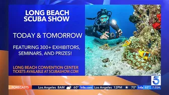 Scuba show returns to Long Beach