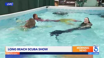 Scuba show returns to Long Beach