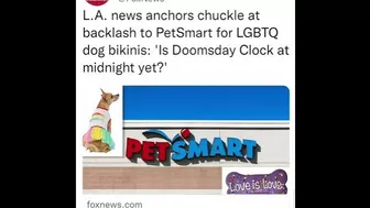 L.A. news anchors chuckle at backlash to PetSmart for LGBTQ dog bikinis