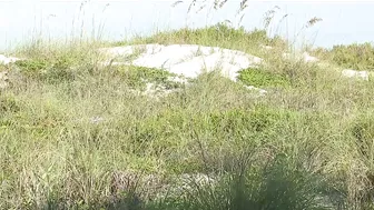 Beach renourishment after Hurricane Idalia